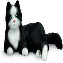 Image of a stuffed cat with black body, white face