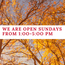 The Library will open on Sundays from 1-5 pm, starting this Sunday, October 6th.