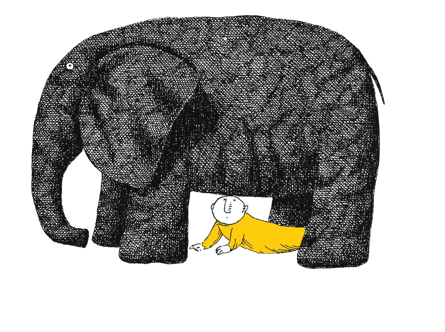 picture of an elephant and a boy in yellow clothing