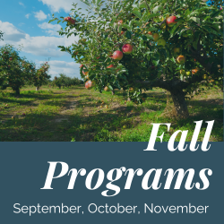 Check out our fall programs. There is something for everyone!