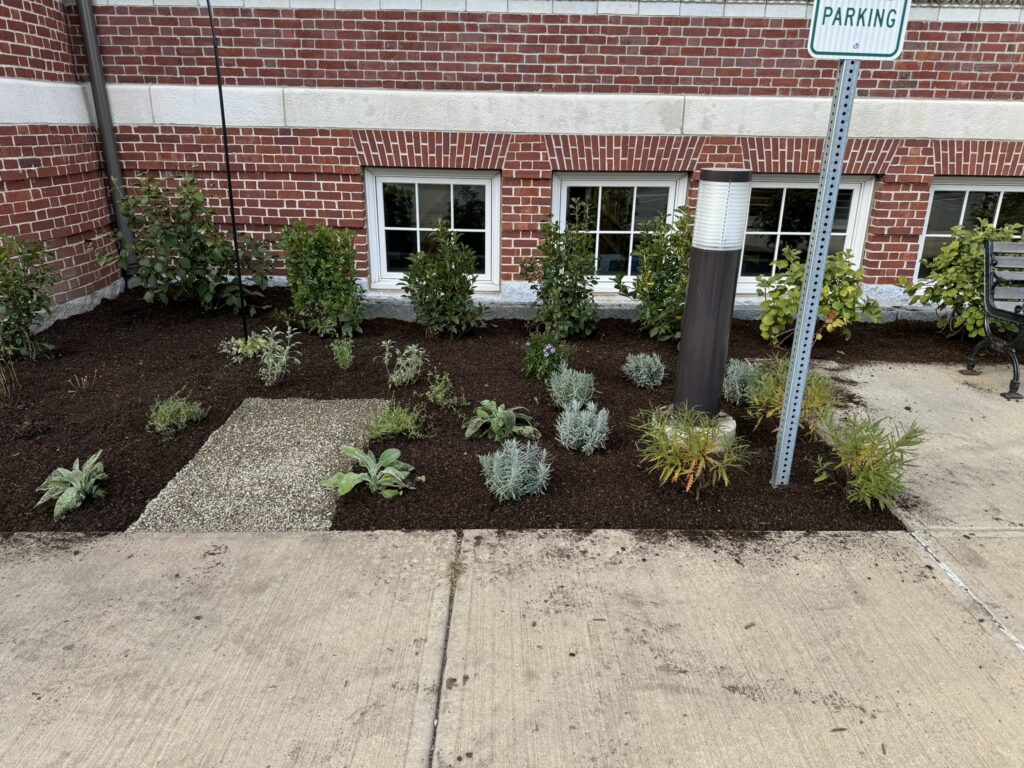 As part of our Rooted in Reading grant, RPL is installing an example sensory garden.  This small area highlights different ways to experience a garden. They can help people connect with nature and become more aware of their surroundings.