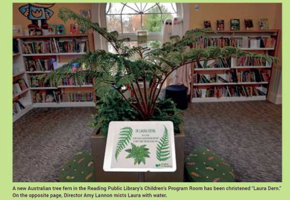 Photo of a planter with large ferns and a sign 